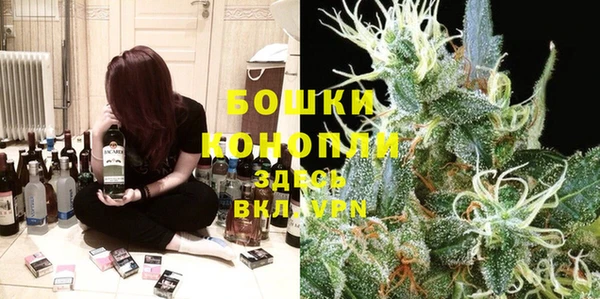 apvp Белокуриха