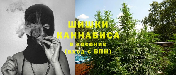 ПСИЛОЦИБИНОВЫЕ ГРИБЫ Баксан