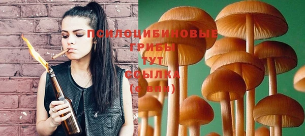 apvp Белокуриха