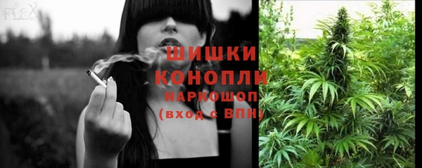 ПСИЛОЦИБИНОВЫЕ ГРИБЫ Баксан